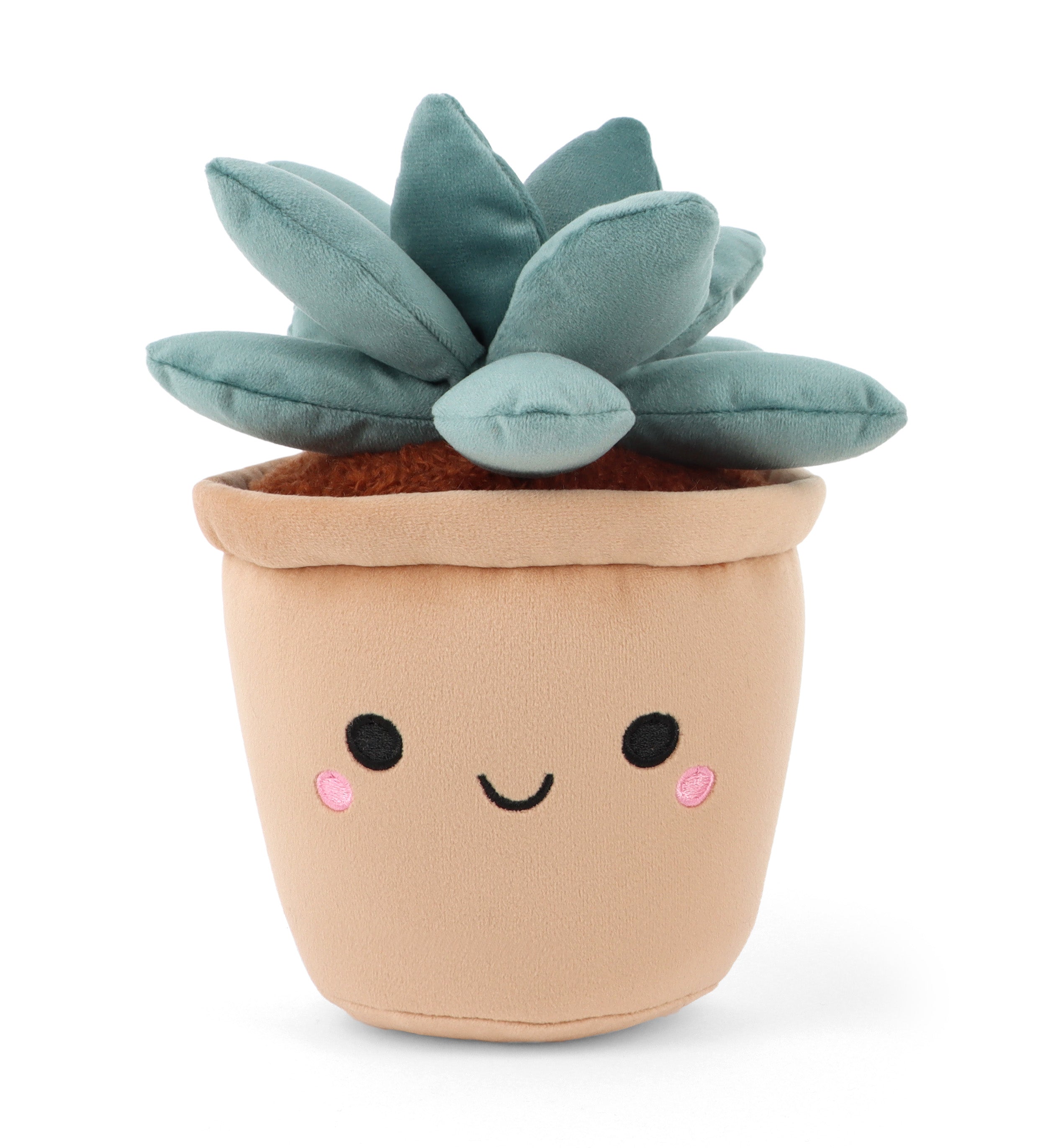 keelco-botanical-garden-succulent-plush
