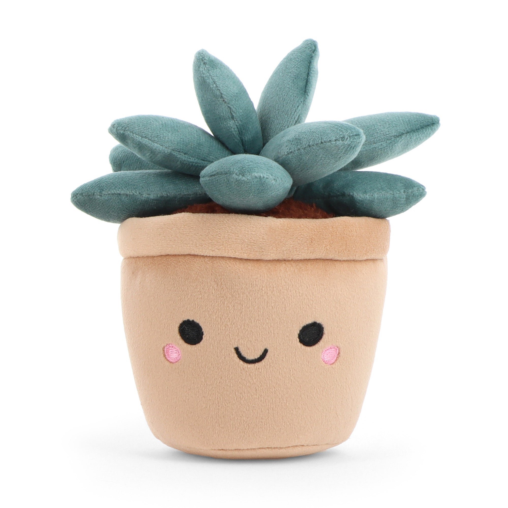 keelco-botanical-garden-succulent-plush