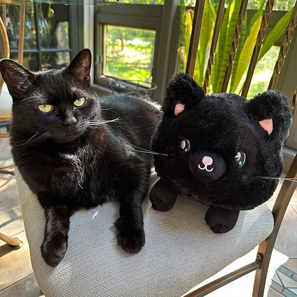 squishable-mini-black-kitty-plush