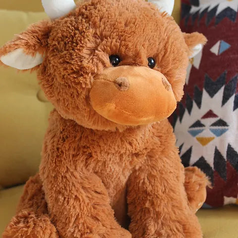 jomanda-highland-brown-coo-cow
